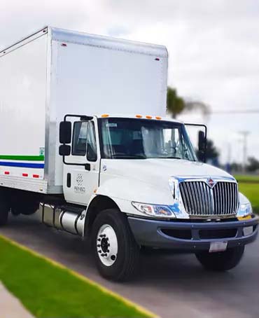 Rabon Modelo 2020 · International · Caja cerrada